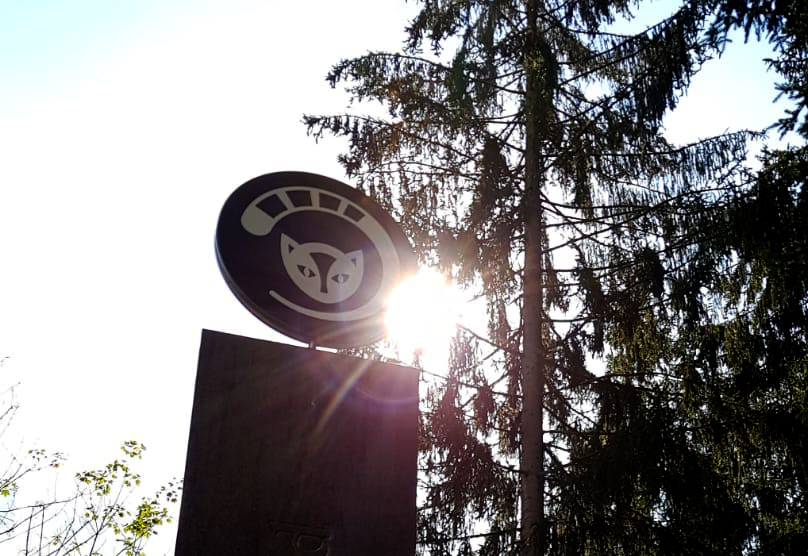 Logo Design Keltenkatze Nationalpark Hunsrück-Hochwald